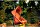 Siena Garden Yobaya krzesła wiszące relaxed red (N85548)