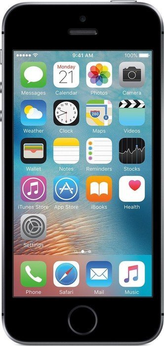Apple iPhone SE 64GB grau