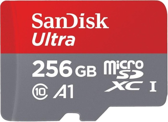 SanDisk Ultra R100 microSDXC 256GB Kit, UHS-I U1, A1, Class 10