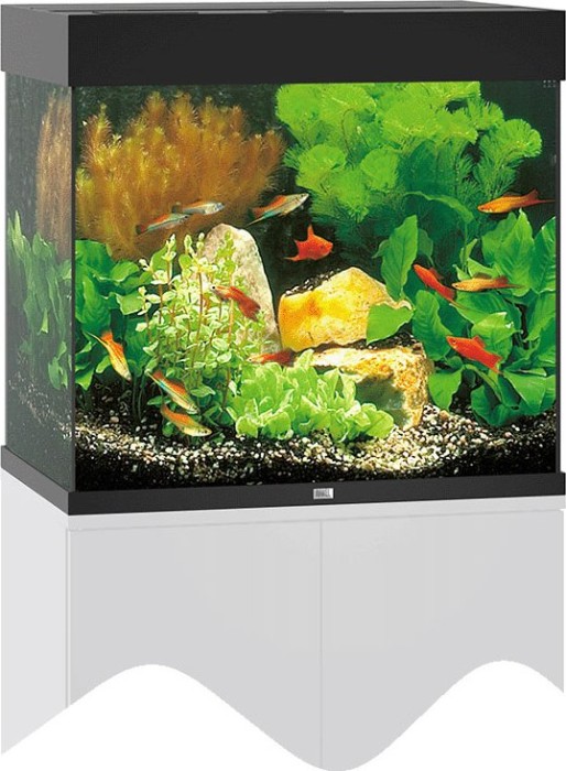 Dom Mangel Miljard Juwel Lido 120 LED Aquarium-Set ohne Unterschrank, schwarz ab € 259,99  (2023) | Preisvergleich Geizhals Deutschland