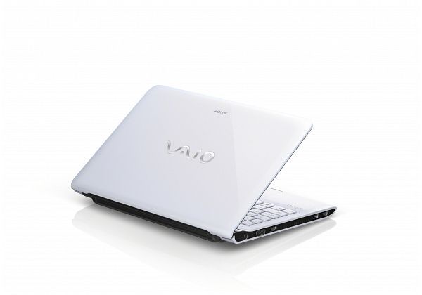 Sony Vaio SVE-1113M1E/W biały, E2-2000, 4GB RAM, 500GB HDD, DE