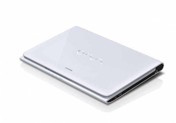 Sony Vaio SVE-1113M1E/W biały, E2-2000, 4GB RAM, 500GB HDD, DE