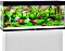 Juwel Rio 240 LED Aquarium Vorschaubild