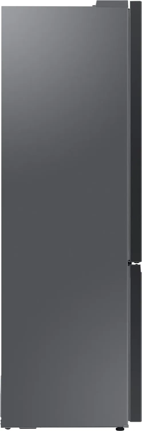 black | ab Samsung Bespoke 1099,00 steel RL38C7B5BB1 € Deutschland Preisvergleich (2024) premium Geizhals