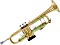 Bach Stradivarius LT18043