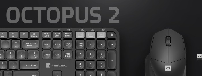 Natec octopus 2 Wireless 2in1 keyboard + Mouse zestaw, czarny, USB/Bluetooth, US