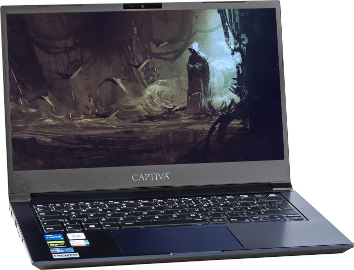 Captiva Advanced Gaming I59-144, Core i5-1135G7, 8GB RAM, 250GB SSD, GeForce GTX 1650 Ti, DE