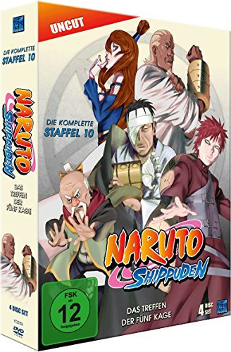 Naruto Shippuden Season 10 (DVD)