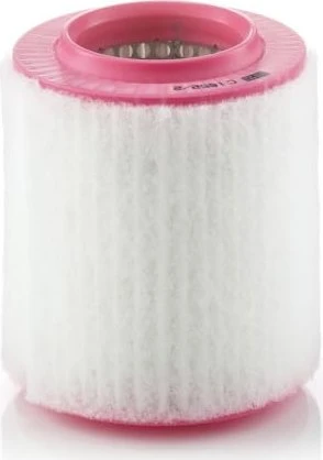 MANN-FILTER C 1652/2 Filtro Aria Auto, Per Autovetture E Veicoli Commerciali, Qualità Primo Equipaggiamento, Dimensioni 170x87x87x185 Mm