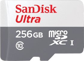 R100 microSDXC 256GB UHS I