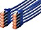 Digitus kabel patch, Cat6, S/FTP, RJ-45/RJ-45, 0.25m, niebieski, sztuk 10 (DK-1644-0025-B-10)