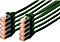 Digitus kabel patch, Cat6, S/FTP, RJ-45/RJ-45, 0.25m, zielony, sztuk 10 (DK-1644-0025-G-10)