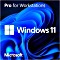 Microsoft Windows 11 Pro for Workstations 64Bit, DSP/SB (englisch) (PC) (HZV-00101)