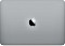 Apple MacBook Pro 13.3" Space Gray, Core i5-8257U, 8GB RAM, 256GB SSD, DE Vorschaubild