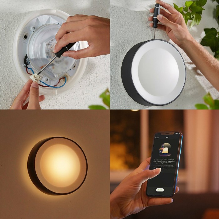 Philips Hue White and Color Ambiance Daylo Wandleuchte schwarz