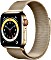 Apple Watch Series 6 (GPS + Cellular) 40mm Edelstahl gold mit Milanaise-Armband gold (M06W3FD)