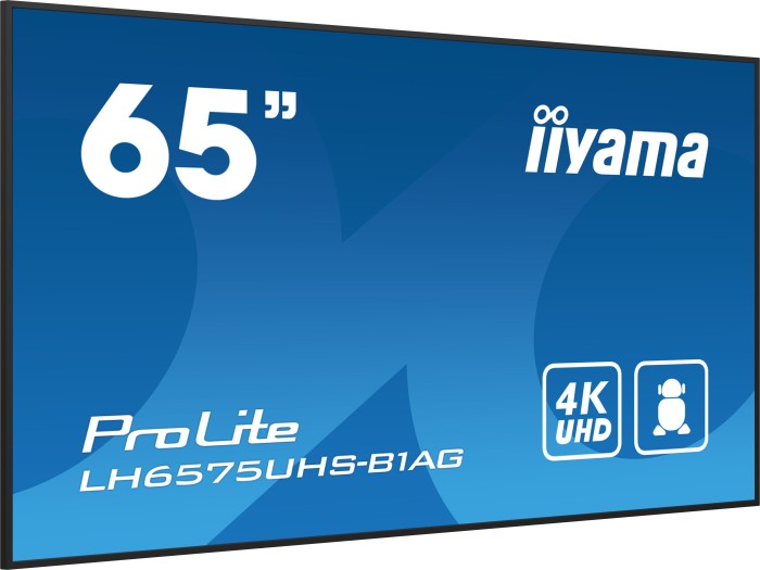 iiyama ProLite LH6575UHS-B1AG, 64.5"