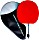 Palio table tennis bats Expert 3.0 (5060564570185)