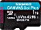 Kingston Canvas Go! Plus R170/W90 microSDXC 1TB, UHS-I U3, A2, Class 10 (SDCG3/1TBSP)