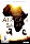 African Safari (DVD)