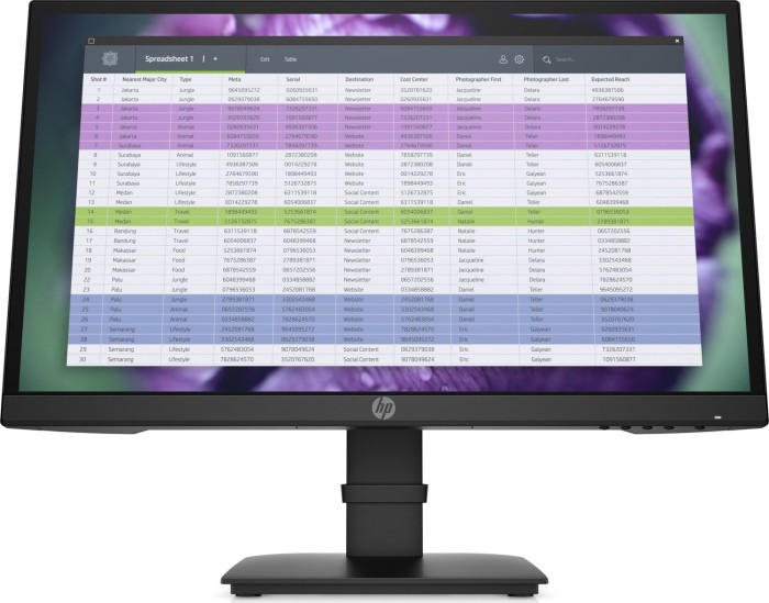 HP P22 G4 FHD – Bildschirm