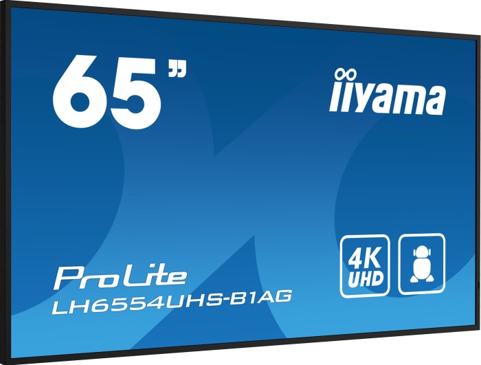 iiyama ProLite LH6554UHS-B1AG, 64.5"