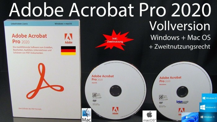 Adobe Acrobat Pro 2020 (deutsch) (PC/MAC)