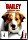 Bailey - Ein Hund kehrt zurück (DVD)