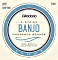 D'Addario 5-String banjo Phosphor brąz Light (EJ69)