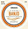 D'Addario 5-string banjo Phosphor Bronze Medium (EJ55)