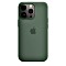 Apple Silikon Case mit MagSafe für iPhone 13 Pro Eukalyptus (MN673ZM/A)