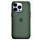 Apple Silikon Case mit MagSafe für iPhone 13 Pro Eukalyptus Vorschaubild