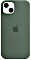 Apple Silikon Case mit MagSafe für iPhone 13 Eukalyptus (MN633ZM/A)