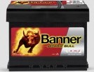 Banner Power Bull P6009