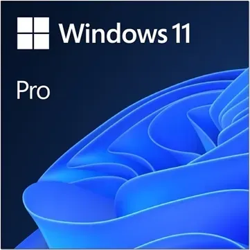 Microsoft Windows 11 Pro 64Bit, DSP/SB, ESD (wersja wielojęzyczna) (PC)