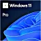Microsoft Windows 11 Pro 64Bit, DSP/SB, ESD (multilingual) (PC)