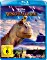 Walt Disney's Dinosaurier (Blu-ray)