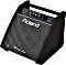 Roland PM-100 Personal Drum Monitor