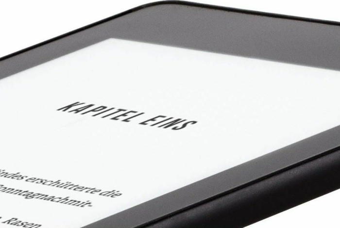 Amazon Kindle Paperwhite 10. Gen ciemnoniebieski 32GB, bez reklam, Essentials zestaw skóra Aloe