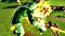 Dragon piłka Xenoverse 2 (PS5) Vorschaubild