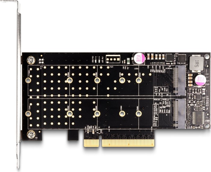 DeLOCK 2x M.2 PCIe, PCIe 4.0 x8