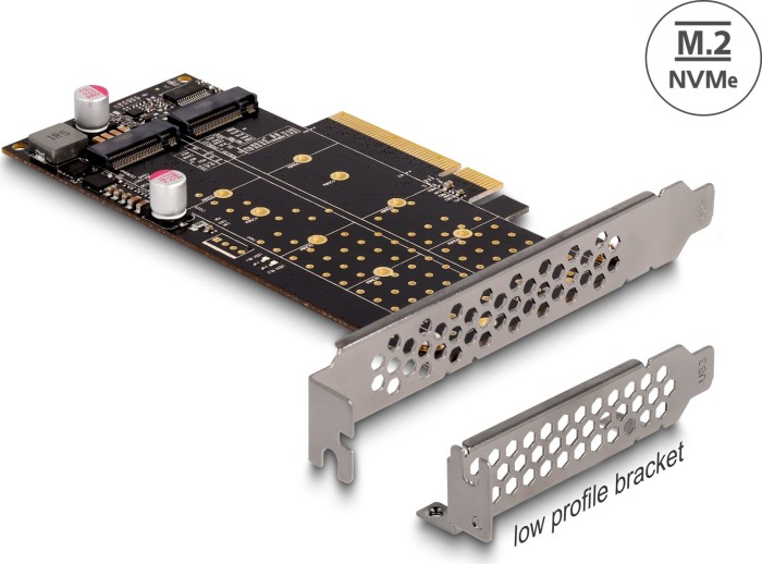 DeLOCK 2x M.2 PCIe, PCIe 4.0 x8