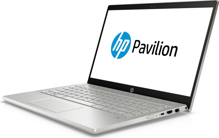 HP Pavilion 14-ce1300ng Mineral Silver/Natural Silver, Core i5-8265U, 8GB RAM, 256GB SSD, DE