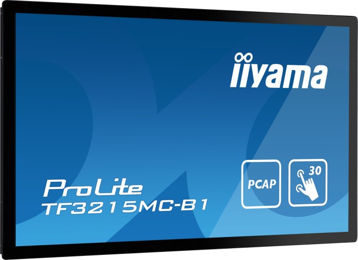 iiyama ProLite TF3215MC-B1, 31.5"