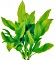 Dennerle Große Amazonas-Schwertpflanze Echinodorus grisebachii Bleherae
