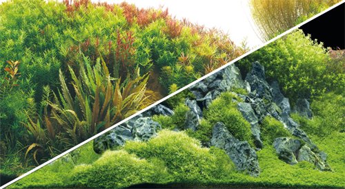 Hobby Fotorückwand Planted River & Green Rocks, 100x50cm