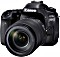Canon EOS 80D with lens EF-S 18-135mm 3.5-5.6 IS USM (1263C042)