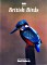 DVD Guide: British Birds (różne Filmy) (DVD) (UK)