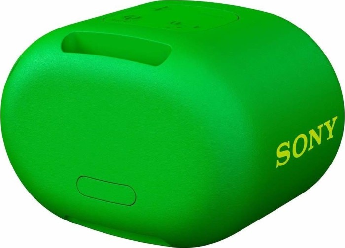 Sony SRS-XB01 grün