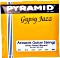 Pyramid Acoustic Gypsy Jazz Light (303 100)